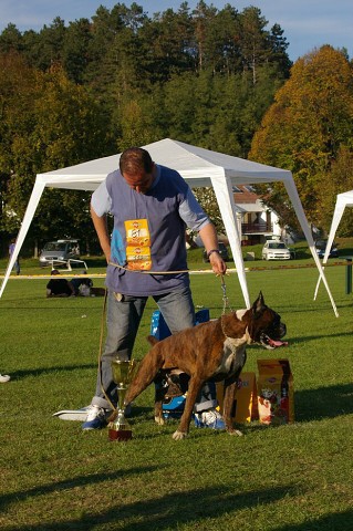 www.boxer-show.eu
